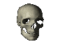 a rotating skull gif. i wonder what its thinking about